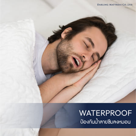 ปลอกหมอนหนุน DARLING MATTRESS รุ่นกันน้ำลาย_7
